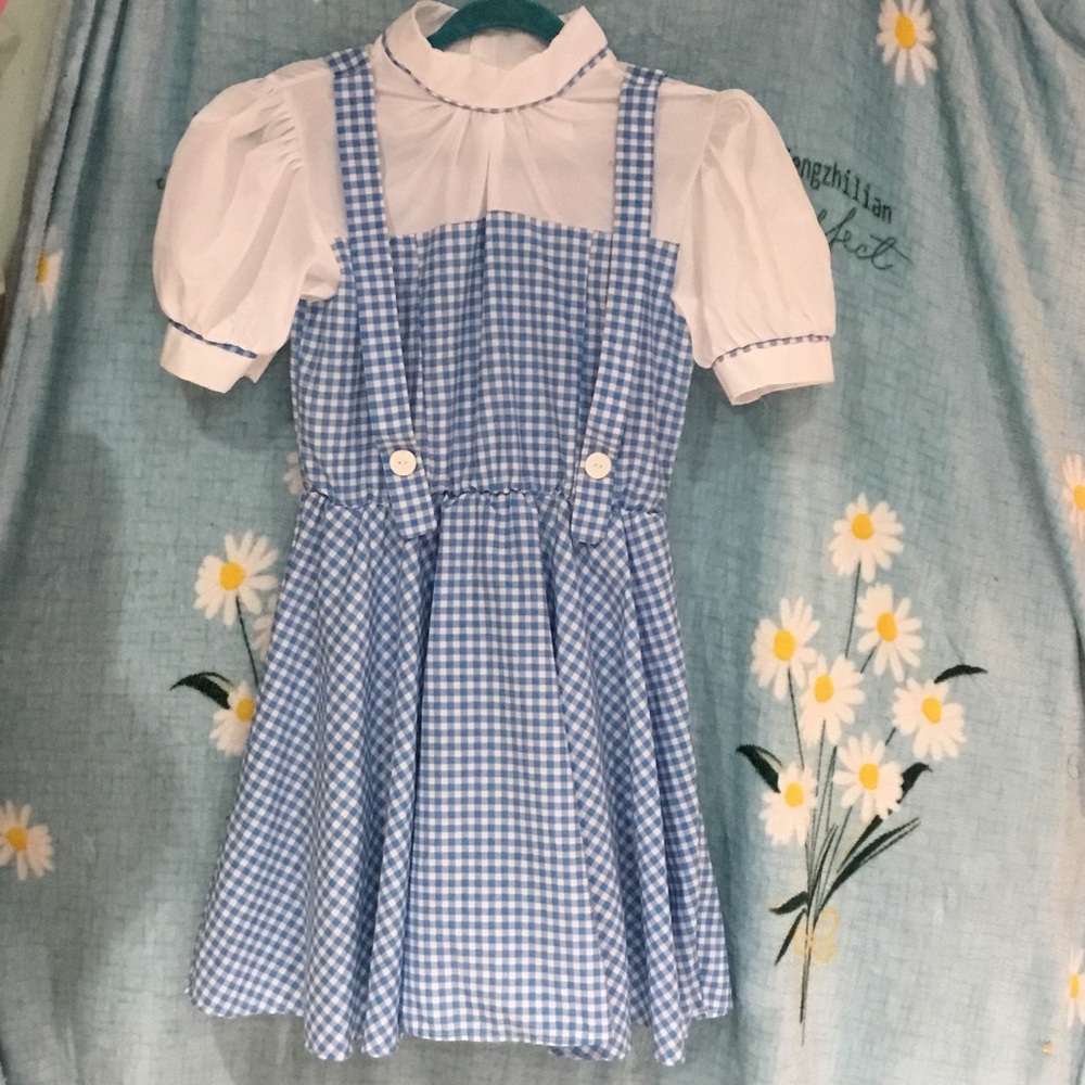 Blue Gingham Pinafore Costume Dress with White Blouse - Kids